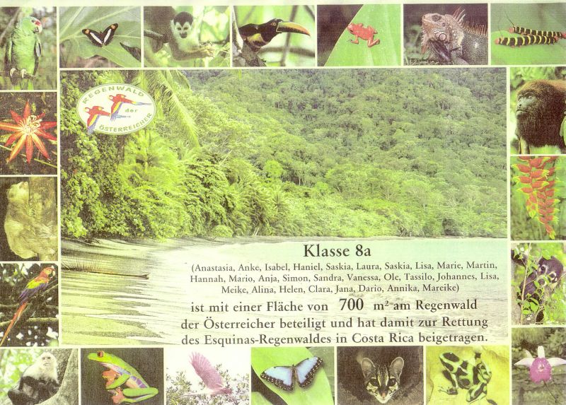 Die Urkunde