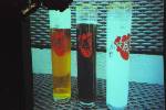 Der Förderverein spendierte in diesem Jahr erstmalig ein Kölsch-Glas mit Abilogo (allerdings ohne Inhalt).