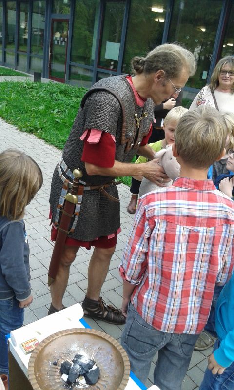 Schaf Eingeweide
